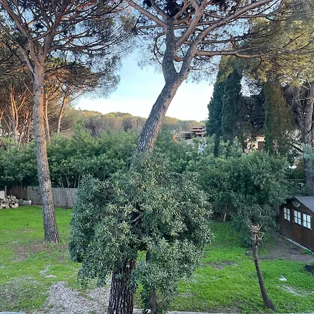 Bastide De La Pinede 别墅 *